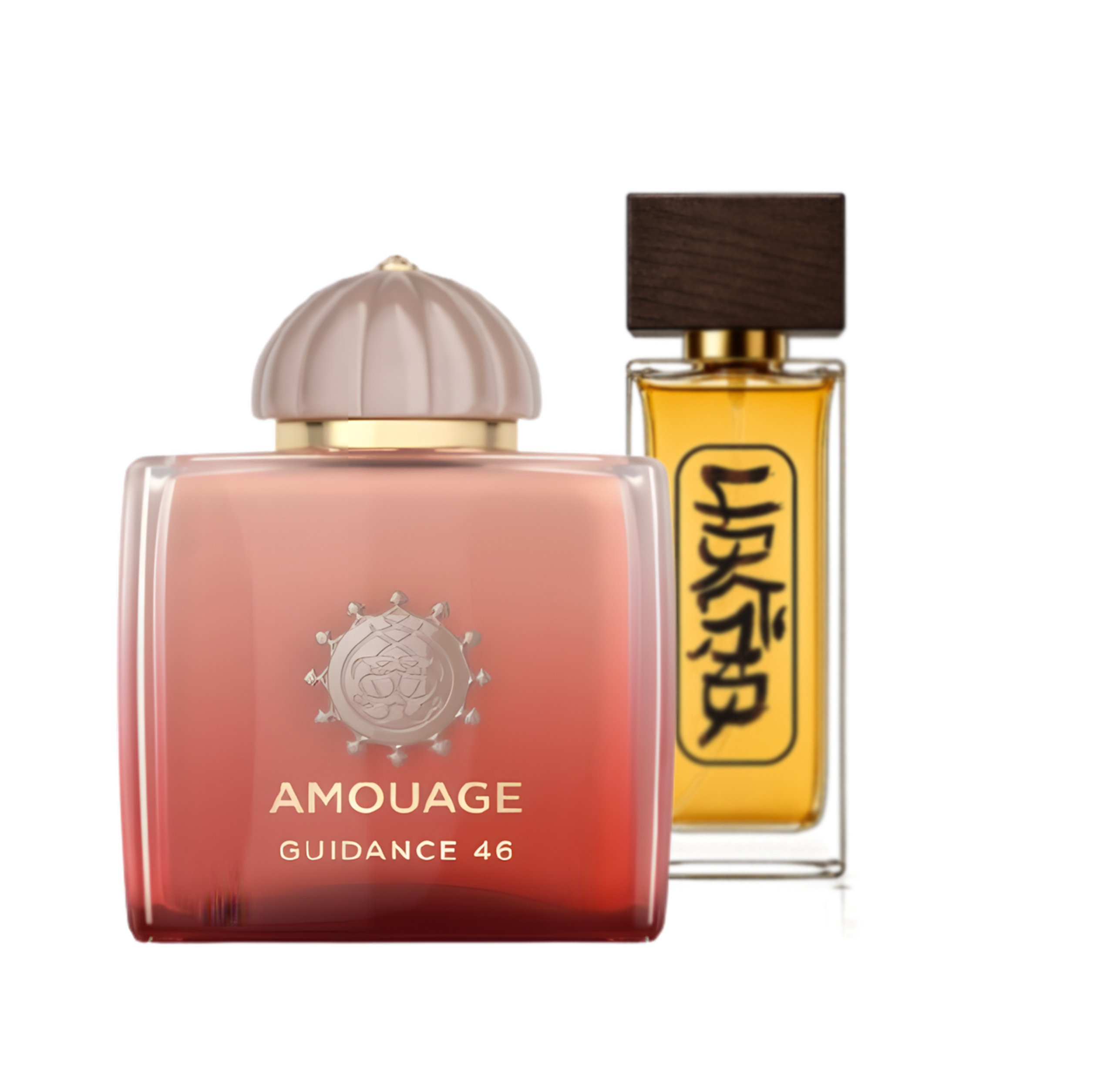 آمواج گایدنس ۴۶ | Amouage Guidance 46