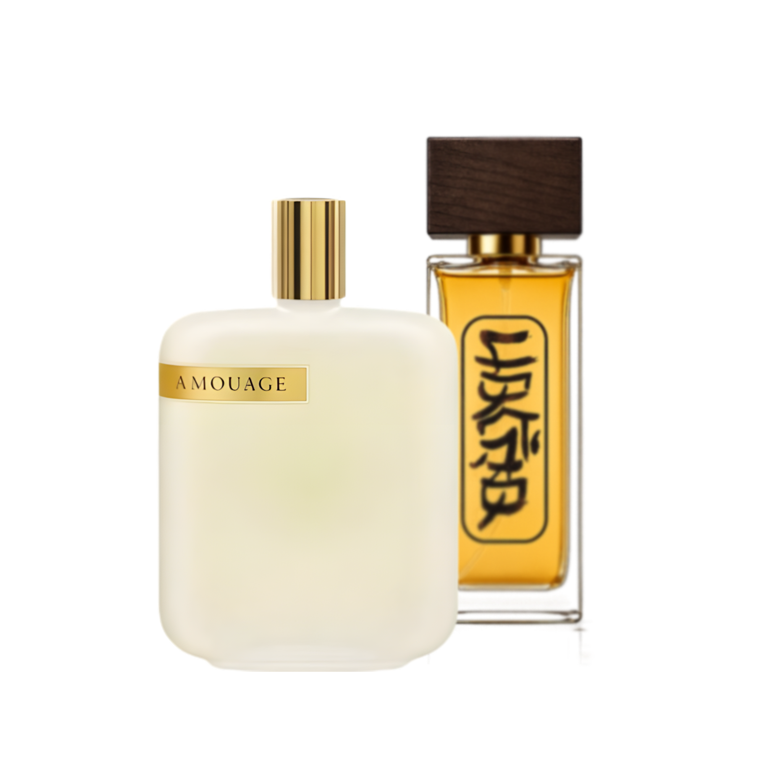 آمواج اوپوس 5 | Amouage Opus V