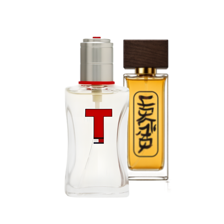 تامی هیلفیگر تی | Tommy Hilfiger T