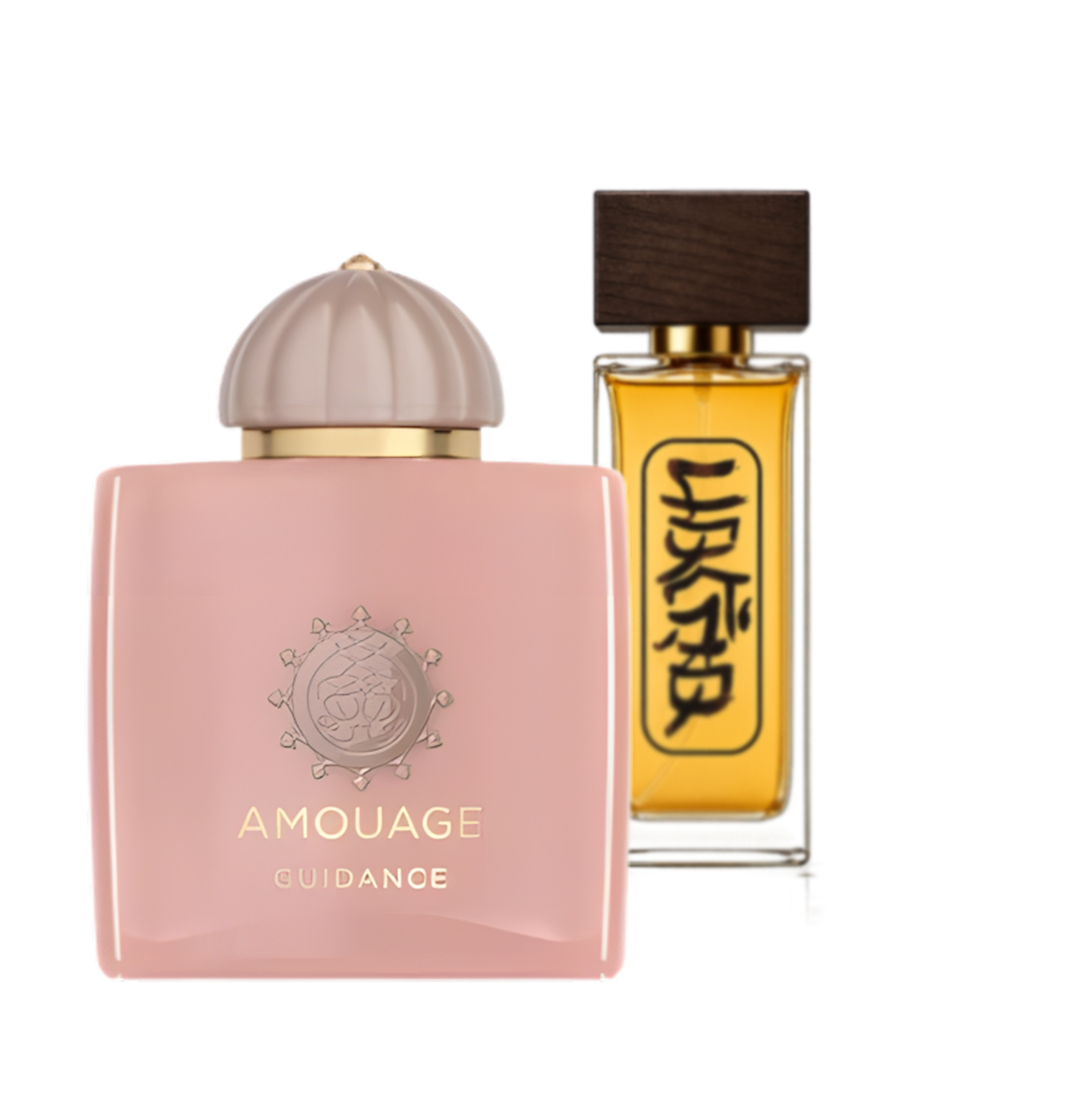 آمواج گایدنس | Amouage Guidance - عطر اسپرت