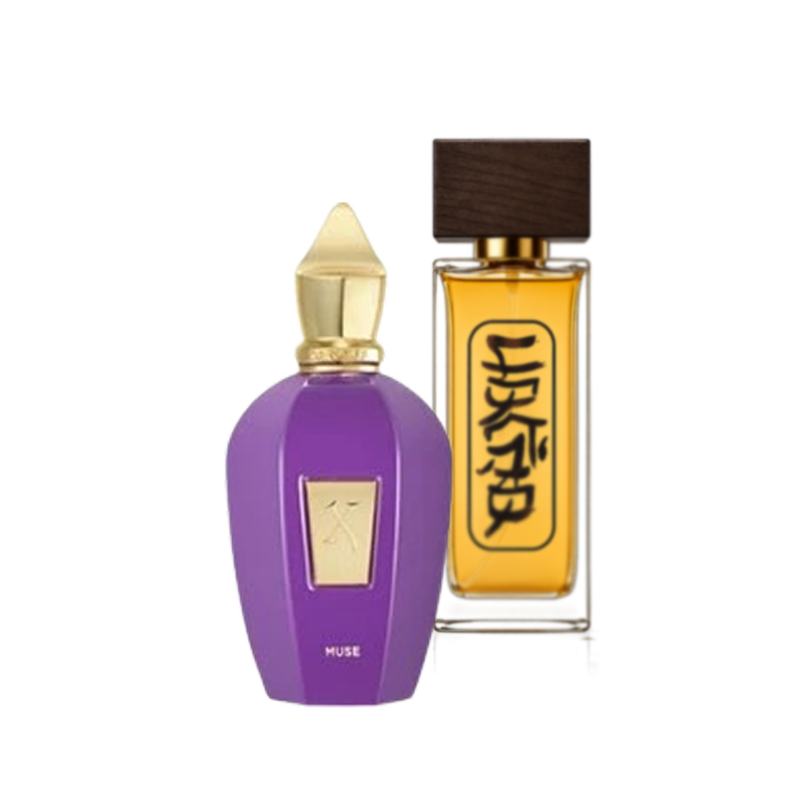زرجف میوس | Xerjoff Muse - عطر اسپرت