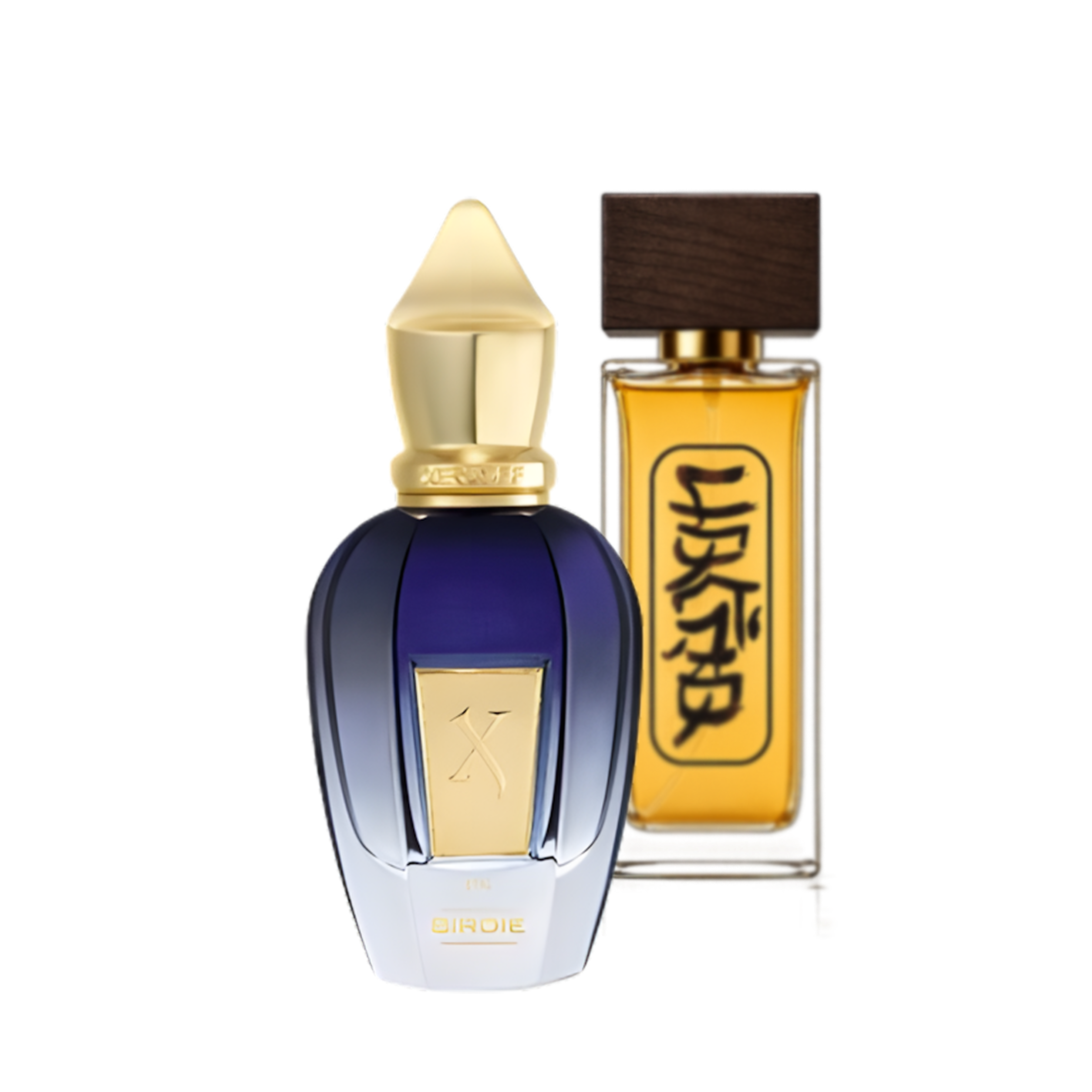زرجف بیردی | Xerjoff Birdie - عطر اسپرت